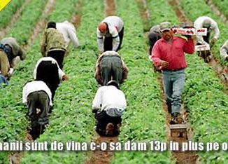 Muncitori la ferme agricole