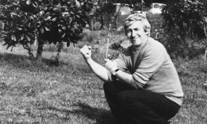 Georgi Markov a lucrat ca romancier, scenarist și dramaturg în țara sa natală, Republica Populară Bulgaria, până când a dezertat în 1969 și a fost asasinat la Londra de către serviciile secrete bulgare.