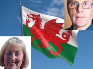 Terry Davies a folosit un limbaj discriminatoriu împotriva colegilor consilieri Andre McPherson și Suzy Curry care lucrau pentru Consiliul din Carmarthenshire