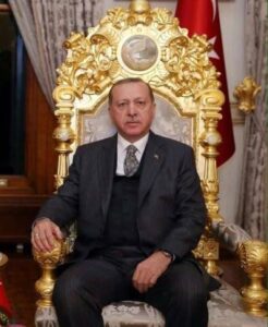 Președintele turc Recep Tayyip Erdogan a fost reales într-un tur de scrutin despre care experții spun că este cea mai recentă tendință în ascensiunea democrațiilor iliberale.