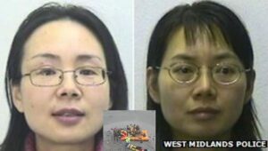 Bo Li și Yan Li au spălat bani legați de o operațiune de trafic de persoane care a provocat moartea a 23 de culegători chinezi de coceni. Poliția a declarat că aceștia făceau parte dintr-o bandă de spălare de bani care a obținut 4 milioane de lire sterline și care deținea bunuri în Regatul Unit, Thailanda și Norvegia.