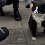 Profile picture of Click Radio